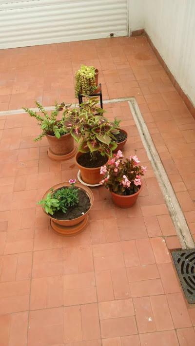 Kurmi Apartment Olavarria Exterior photo